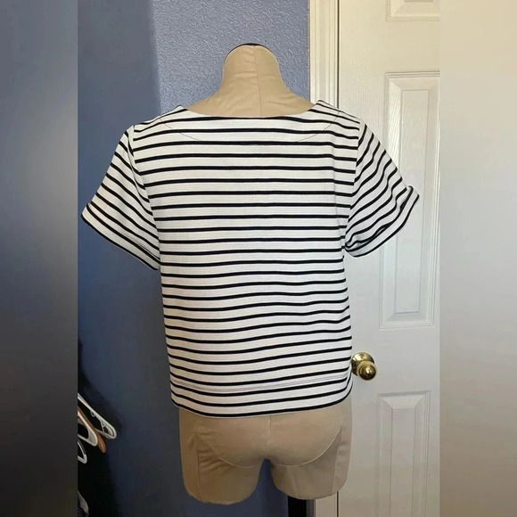 The Limited Striped Crop Top​​​​ - Picture 4 of 6